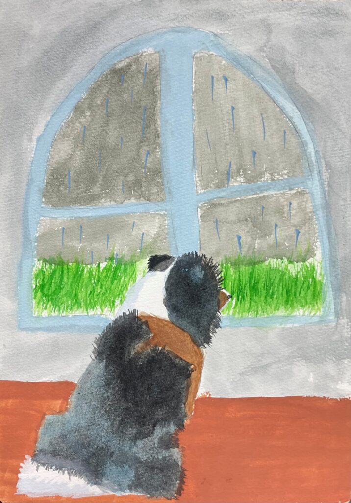 室内で雨を見つめる犬。ふわふわな毛並みを滲みで表現。